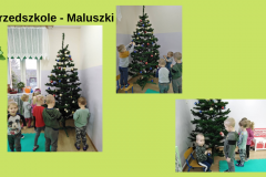 Rozpoczeliśmy przygotowania do Świąt Bożego Narodzenia. Pierwsze zadanie wszystkie klasy wykonały wzorowo. Choinki ubrane !!!